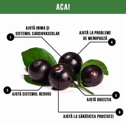 Suc de acai pur bio, fara zahar 500ml Health Nutrition