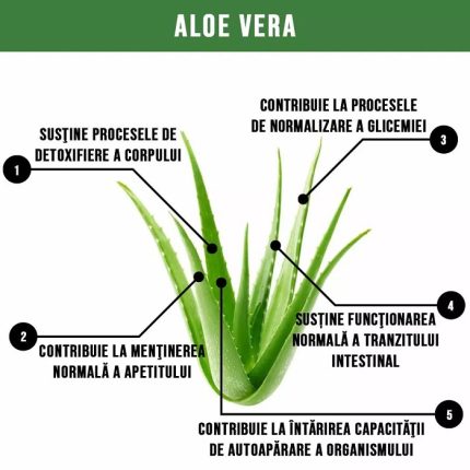 Suc 100% pur de Aloe Vera bio, fara zahar 500ml Health Nutrition