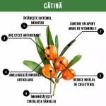 Suc pur de Catina bio 100%, fara zahar 500ml Health Nutrition