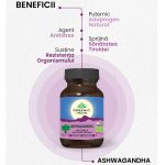 Ashwagandha Antistres Natural 60 capsule vegetale Organic India