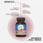 WWB pt Sanatatea Femeii, Sindrom Premenstrual 60 caps Organic India