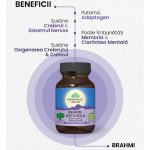 Brahmi Gotu Kola pt sanatatea Sistemul Nervos 60 caps Organic India