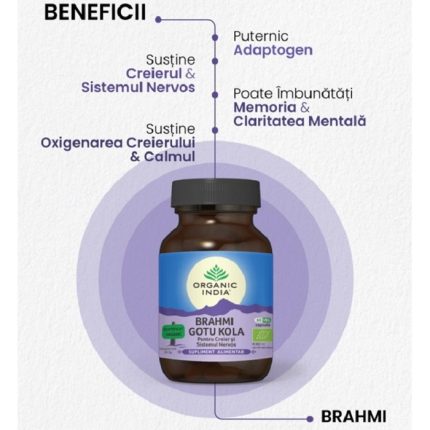Brahmi Gotu Kola pt sanatatea Sistemul Nervos 60 caps Organic India