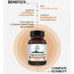 Complete Flexibility pentru Sanatatea Articulatiilor 60 capsule Organic India