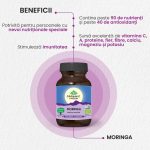 Moringa Bio, nutritie esentiala 60 capsule Organic India